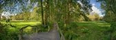 Fotobehang Springendal Twente 450 x 260 cm