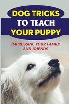 Dog Tricks To Teach Your Puppy: Impressing Your Family And Friends