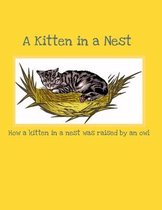 A Kitten in a Nest