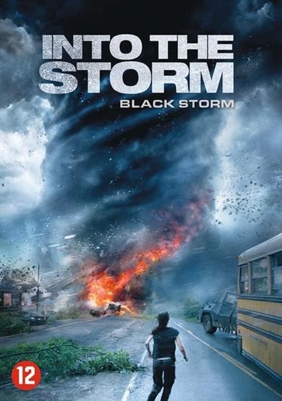 Into The Storm (DVD)