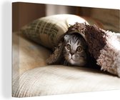 Canvas Schilderij Poes - Deken - Bank - 30x20 cm - Wanddecoratie