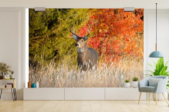 Papier peint - Papier peint photo Cerf - Bois - Forêt - Largeur 390 cm x hauteur 260 cm
