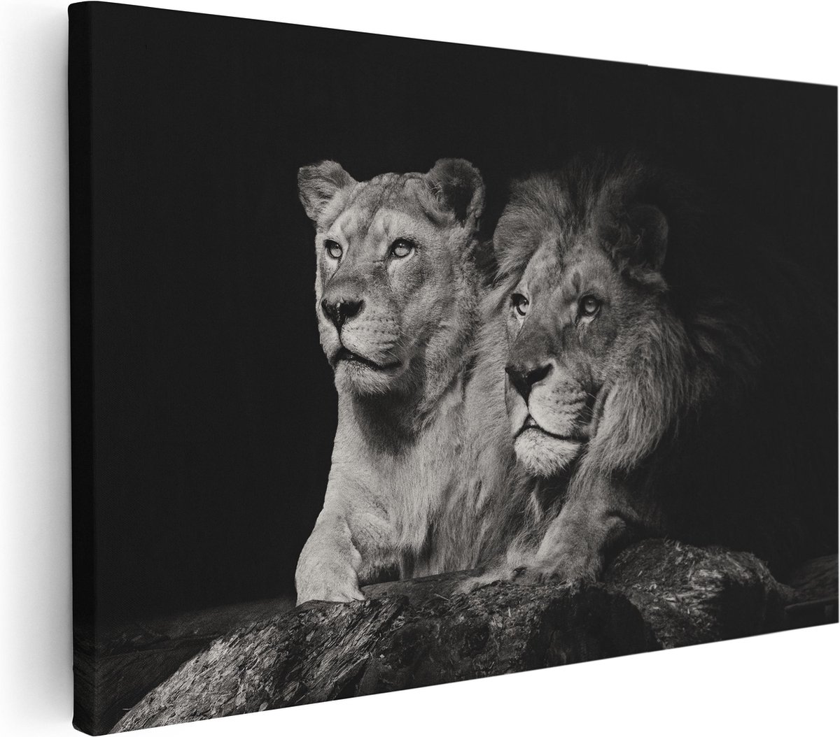 Artaza Canvas Schilderij Leeuw En Leeuwin - Zwart Wit - 30x20 cm - Klein - Wanddecoratie Woonkamer - Schilderijen - Muurdecoratie