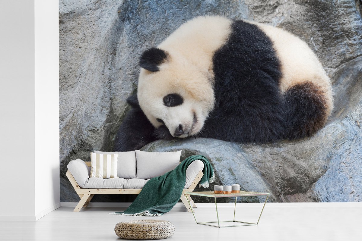 Behang - Fotobehang Panda - Slapen - Steen - Breedte 420 cm x hoogte 280 cm