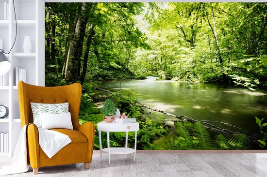 Papier peint - Papier peint photo Forêt - Arbre - Water - Largeur 360 cm x hauteur 240 cm