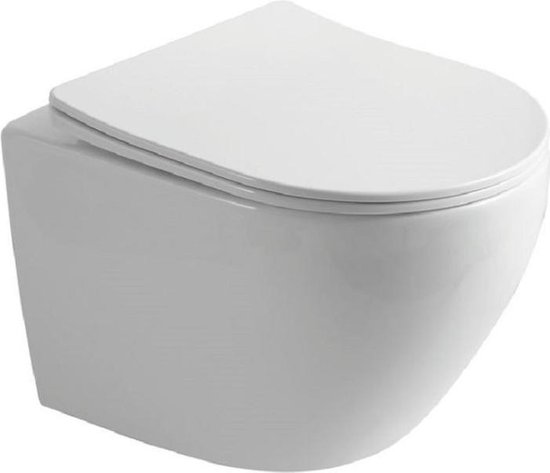 Sanifun WC suspendu sans rebord Vesta 490 Combinaison Wit