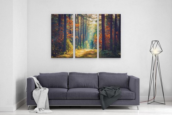 Artaza Canvas Schilderij Drieluik Herfstbos Met Zonneschijn - Kleur - 120x80 - Foto Op Canvas - Canvas Print