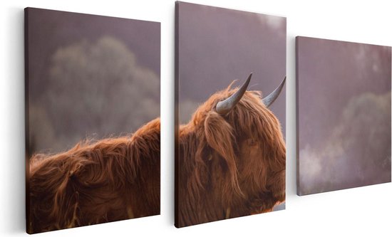 Artaza Canvas Schilderij Drieluik Schotse Hooglander Koe Ligt In Het Gras - 120x60 - Foto Op Canvas - Canvas Print