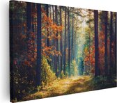 Artaza Canvas Schilderij Herfstbos Met Zonneschijn - Kleur - 30x20 - Klein - Foto Op Canvas - Canvas Print