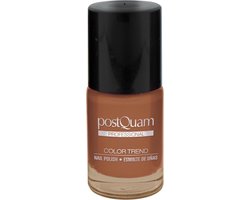 PostQuam nagellak professional  - chocola - 10 ml