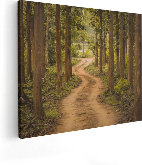 Artaza - Peinture Sur Toile - Chemin Dans La Forêt Avec Des Arbres - 50x40 - Photo Sur Toile - Impression Sur Toile
