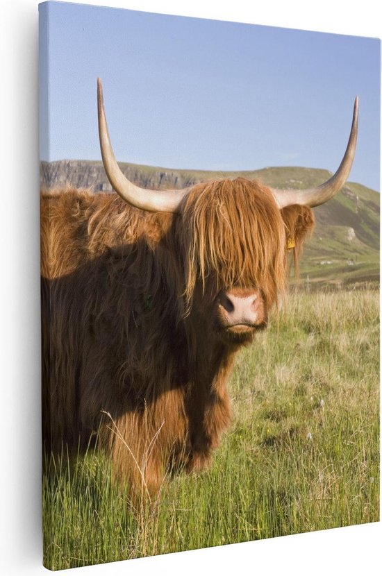 Artaza - peinture sur toile - vache Highlander écossais - couleur - 80 x 100 - Groot - photo sur toile - impression sur toile