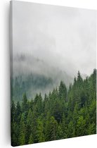 Artaza Canvas Schilderij Groen Bos Met Bomen Tijdens De Mist - 80x100 - Groot - Foto Op Canvas - Canvas Print