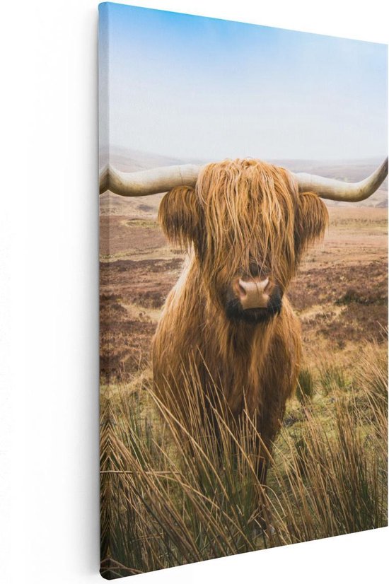 Artaza Canvas Schilderij Schotse Hooglander Koe In Het Veld - 60x90 - Foto Op Canvas - Canvas Print