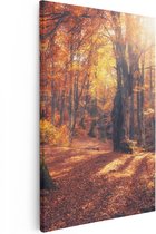 Artaza Canvas Schilderij Oranje Herfstbos Met Zonneschijn - 20x30 - Klein - Foto Op Canvas - Canvas Print