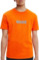 Calvin Klein T-shirt - Mannen - Oranje - Grijs