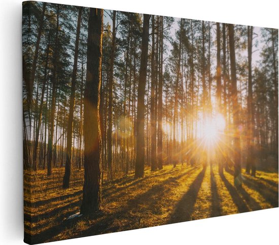 Artaza Canvas Schilderij Zonsopkomst In Het Bos Tussen De Bomen - 90x60 - Foto Op Canvas - Canvas Print - Muurdecoratie