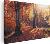 Artaza Canvas Schilderij Oranje Herfstbos Met Zonneschijn - 120x80 - Groot - Foto Op Canvas - Wanddecoratie Woonkamer