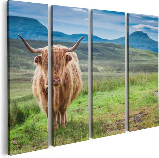 Artaza - Quadriptyque de peinture sur toile - Highlander écossais dans le pâturage - Couleur - 80x60 - Photo sur toile - Impression sur toile