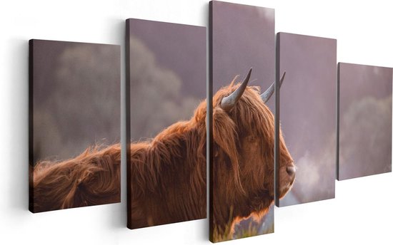 Artaza Toile Peinture Pentaptyque Highlander écossais Vache Allongée Dans L'herbe - 100x50 - Photo Sur Toile - Impression Sur Toile