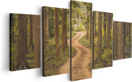 Artaza Canvas Schilderij Vijfluik Pad In Het Bos Met Bomen - 100x50 - Foto Op Canvas - Canvas Print
