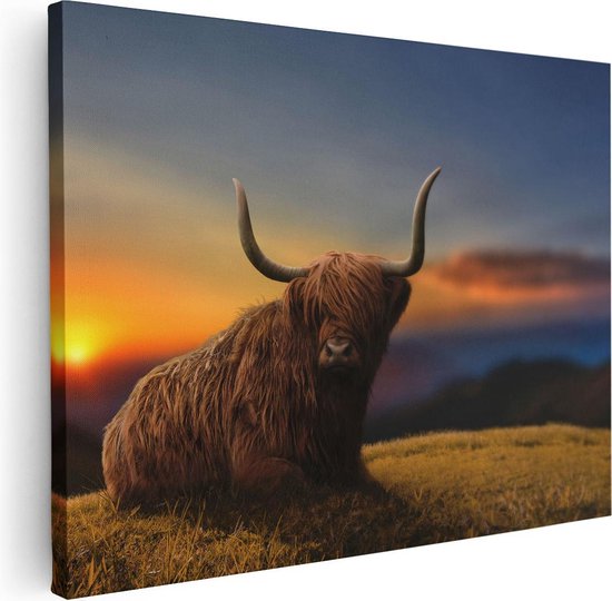 Artaza Canvas Schilderij Schotse Hooglander Koe Op Een Heuvel - 80x60 - Foto Op Canvas - Canvas Print