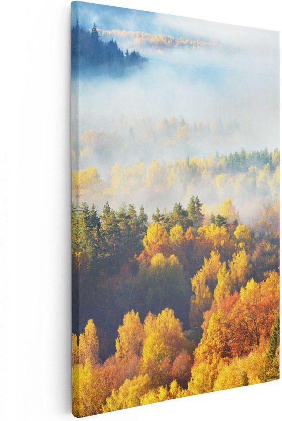 Artaza Canvas Schilderij Gekleurde Herfstbos Met Mist - 80x120 - Groot - Foto Op Canvas - Canvas Print