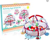 MIRO Babygym Lieveheersbeestje 3 In 1 Speelmat + Ballenbak 0 Tot 2 Jaar Fairchild
