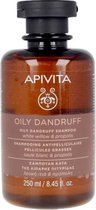 Shampoo Oily Dandruff Apivita (250 ml)