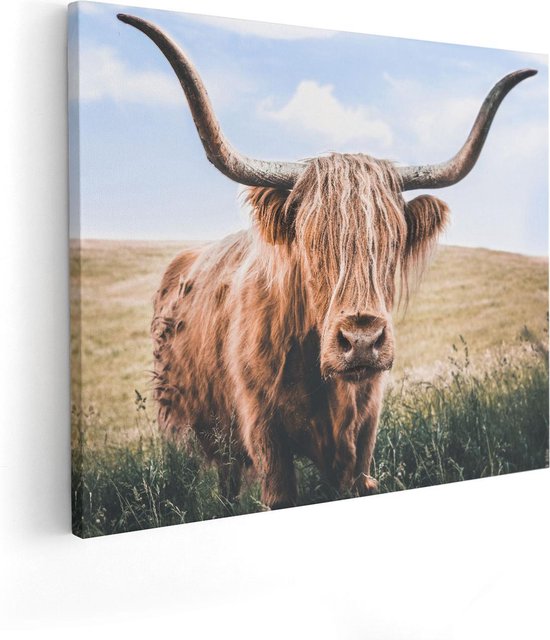 Artaza Canvas Schilderij Schotse Hooglander Koe In De Wei - 100x80 - Groot - Foto Op Canvas - Canvas Print