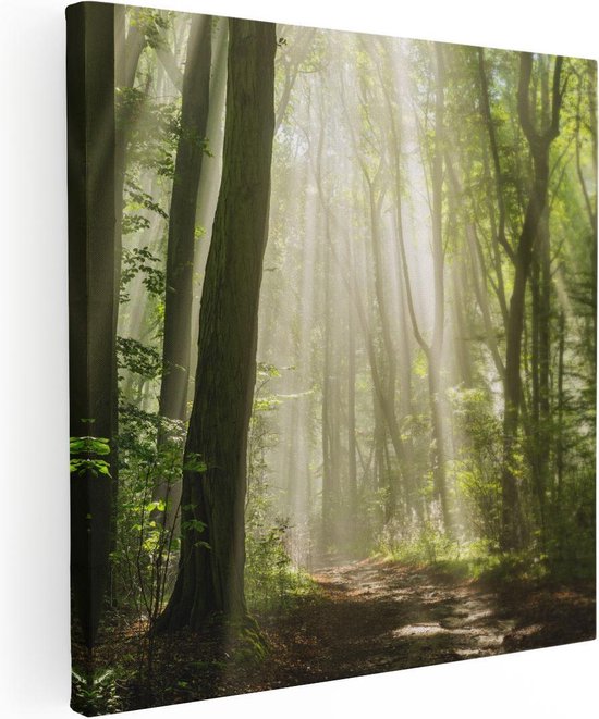 Artaza Canvas Schilderij Bos Met Bomen En Zonneschijn - 30x30 - Klein - Foto Op Canvas - Canvas Print