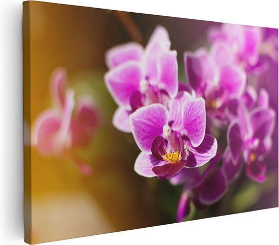 Artaza Canvas Schilderij Paarse Orchidee Bloemen - 30x20 - Klein - Foto Op Canvas - Canvas Print