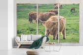 Behang - Fotobehang Doorkijk - Schotse hooglander - Dieren - Breedte 450 cm x hoogte 300 cm