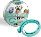 Vlooienband hond Turquoise - 100% natuurlijk - Geurhalsband - Alle rassen - Zonder chemicaliën - Teken en vlooien