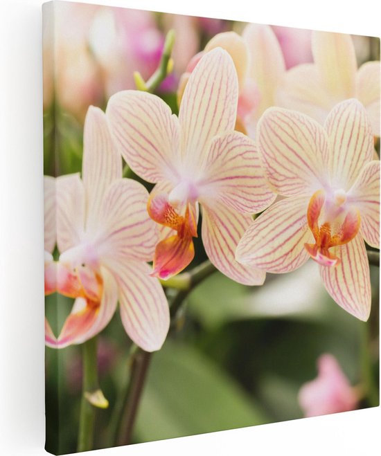 Artaza Canvas Schilderij Gestreepte Witte Orchidee Bloemen - 30x30 - Klein - Foto Op Canvas - Canvas Print