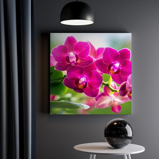 Artaza Peinture sur Toile Fleurs d'Orchidées Roses - 30x30 - Klein - Photo sur Toile - Impression sur Toile