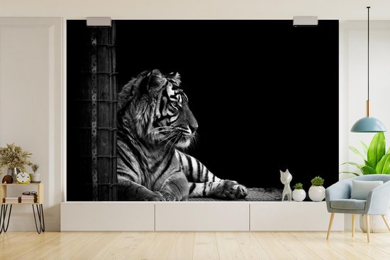 Papier peint - Papier peint photo Tigre - Zwart - Wit - Séance photo - Largeur 360 cm x hauteur 240 cm