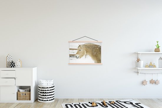 Gros plan d'un cheval de fjord dans la neige 60x40 cm