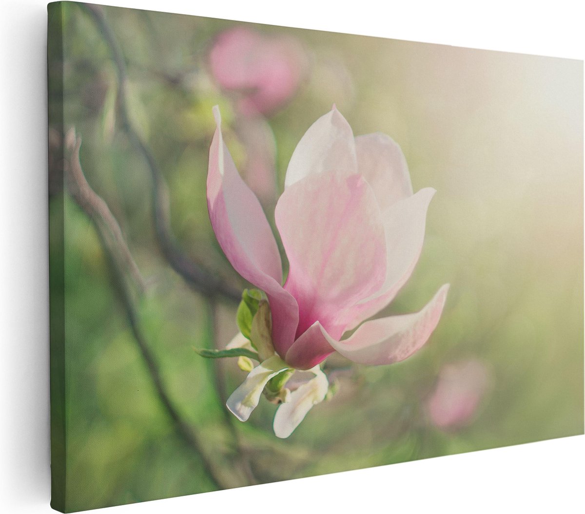 Artaza Canvas Schilderij Magnolia - 120x80 cm - Groot - Wanddecoratie Bloemen - Muurdecora