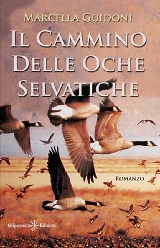 Il cammino delle oche selvatiche - cover
