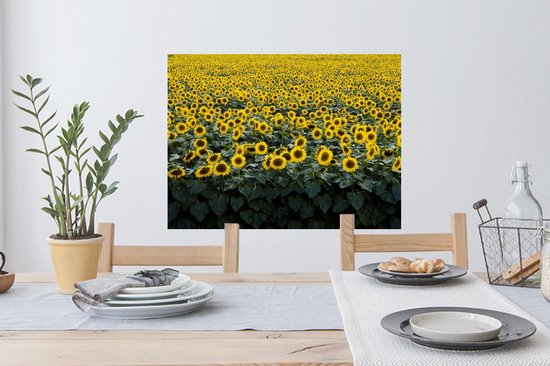 Stickers muraux - Film autocollant - Fleurs - Tournesol - Champ - 80x60 cm - Film adhésif - Stickers muraux Chambre d'enfant - Papier peint autocollant