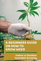 A Beginners Guide On How To Grow Weed: Indoor & Outdoor Cannabis Growing