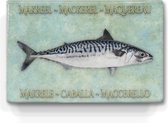 makreel op aqua achtergrond  - niet van echt te onderscheiden schilderijtje op hout - makreel in 6 talen -  Laqueprint