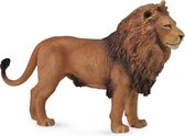 Wilde dieren: Afrikaanse leeuw 14 x 9 cm