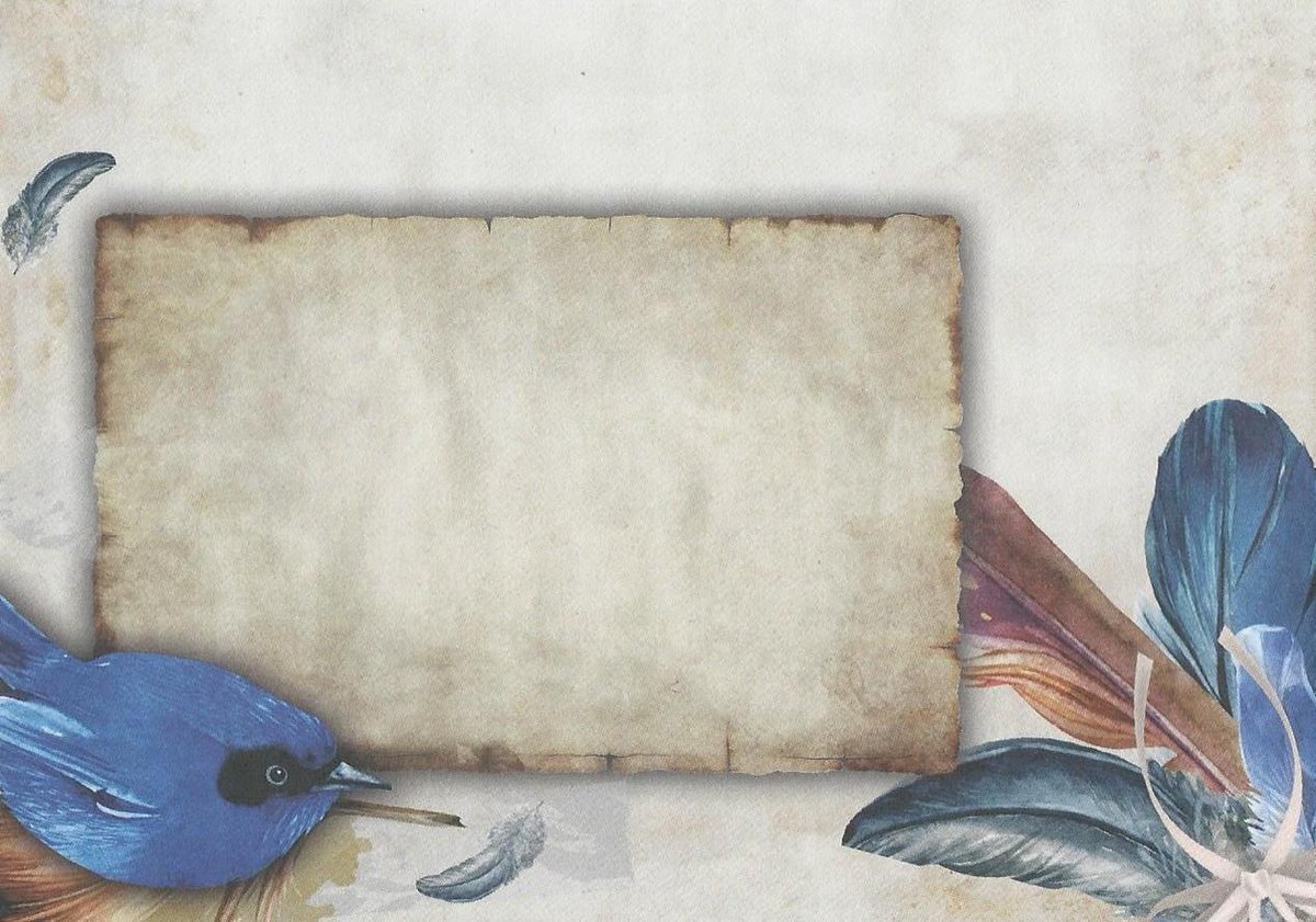 Enveloppen Veertjes - 25 stuks C6 formaat met plakstripsluiting - Envelop Feathers