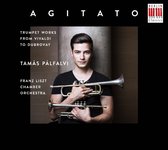 Tamas Palfalvi - Agitato (CD)