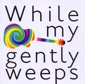 Various Artists - While My Guitar Gently Weeps (CD)