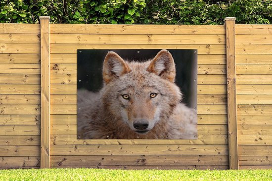 Décoration murale extérieur Loup - Predator - Marron - 160x120 cm