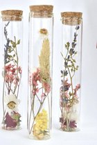 Fleurs séchées dans un tube en verre | Fleurs séchées
