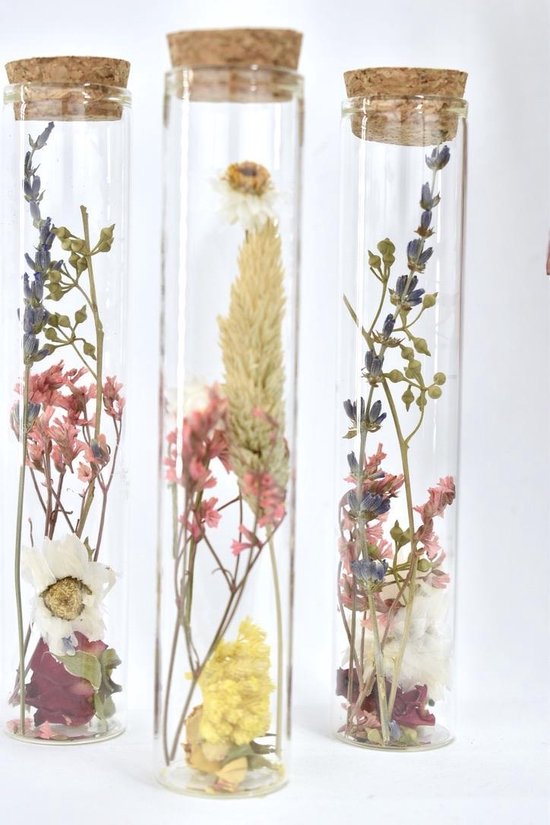 glazen buisje | Natuurlijk Bloemen | Droogbloemen | Dried Flowers | bol.com